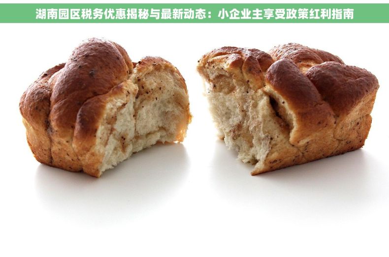 湖南园区税务优惠揭秘与最新动态：小企业主享受政策红利指南