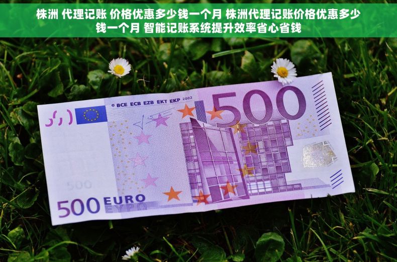 株洲 代理记账 价格优惠多少钱一个月 株洲代理记账价格优惠多少钱一个月 智能记账系统提升效率省心省钱