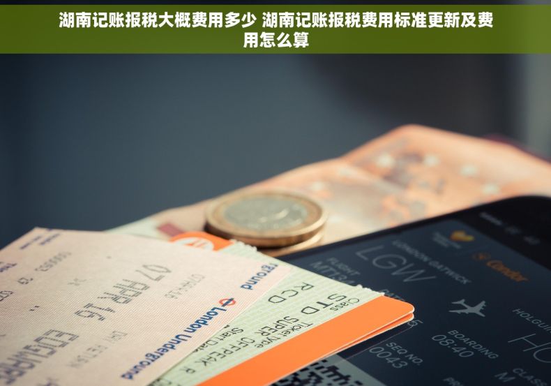 湖南记账报税大概费用多少 湖南记账报税费用标准更新及费用怎么算
