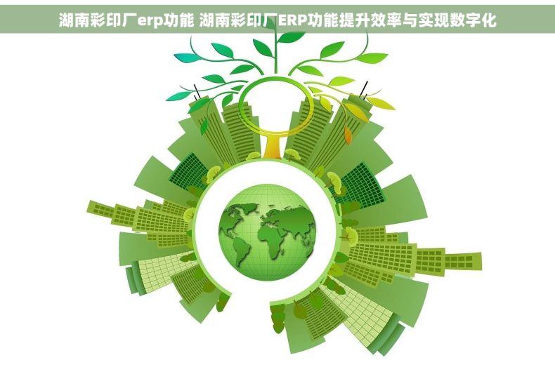 湖南彩印厂erp功能 湖南彩印厂ERP功能提升效率与实现数字化