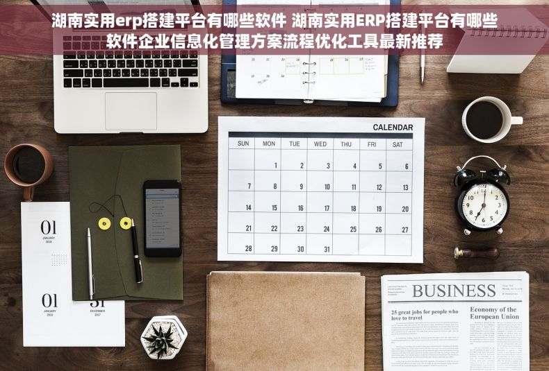 湖南实用erp搭建平台有哪些软件 湖南实用ERP搭建平台有哪些软件企业信息化管理方案流程优化工具最新推荐