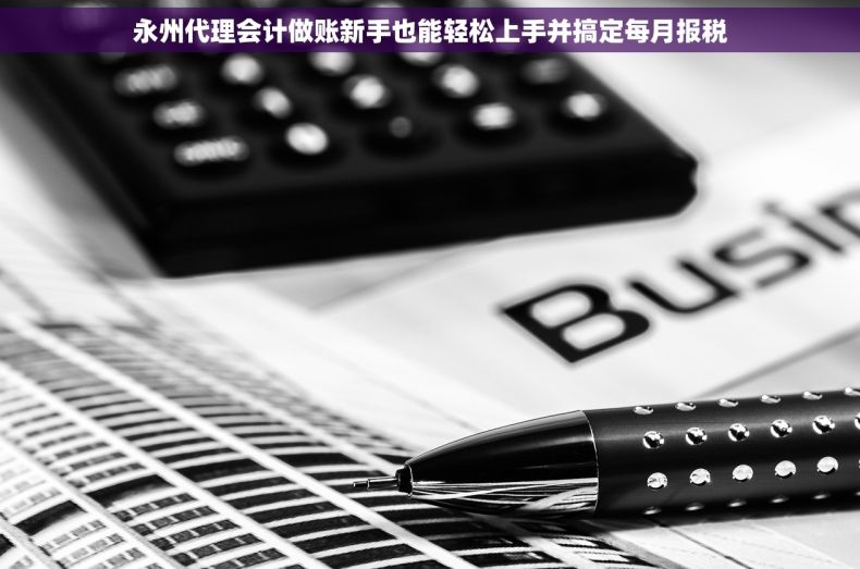 永州代理会计做账新手也能轻松上手并搞定每月报税