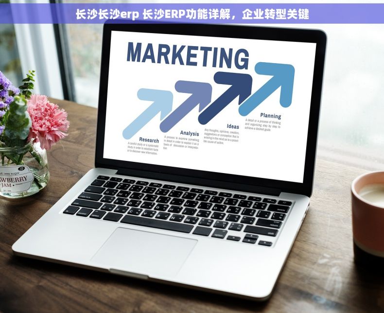 长沙长沙erp 长沙ERP功能详解，企业转型关键