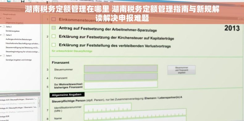 湖南税务定额管理在哪里 湖南税务定额管理指南与新规解读解决申报难题