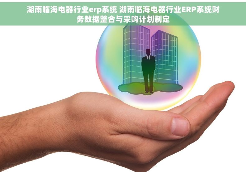 湖南临海电器行业erp系统 湖南临海电器行业ERP系统财务数据整合与采购计划制定