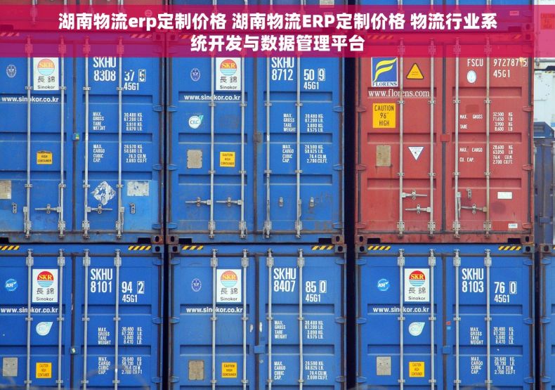 湖南物流erp定制价格 湖南物流ERP定制价格 物流行业系统开发与数据管理平台