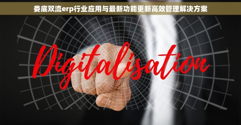 娄底双流erp行业应用与最新功能更新高效管理解决方案