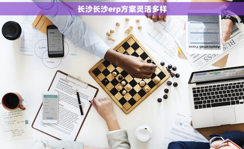 长沙长沙erp方案灵活多样
