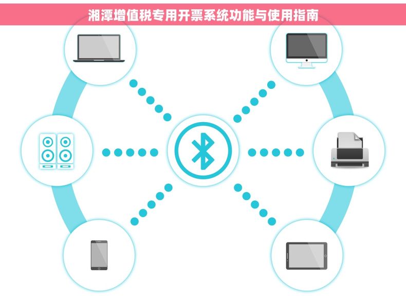 湘潭增值税专用开票系统功能与使用指南