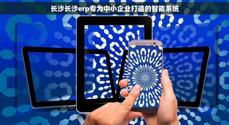 长沙长沙erp专为中小企业打造的智能系统