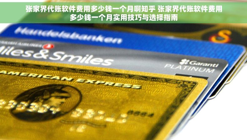 张家界代账软件费用多少钱一个月啊知乎 张家界代账软件费用多少钱一个月实用技巧与选择指南