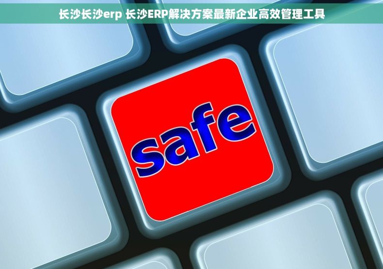 长沙长沙erp 长沙ERP解决方案最新企业高效管理工具