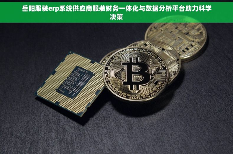 岳阳服装erp系统供应商服装财务一体化与数据分析平台助力科学决策