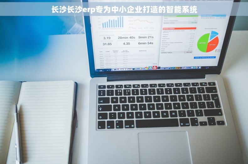 长沙长沙erp专为中小企业打造的智能系统