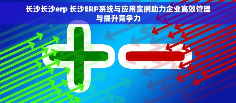 长沙长沙erp 长沙ERP系统与应用实例助力企业高效管理与提升竞争力