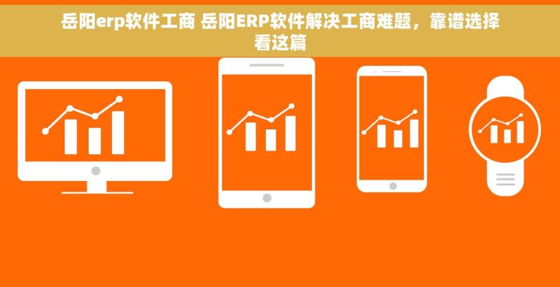 岳阳erp软件工商 岳阳ERP软件解决工商难题，靠谱选择看这篇