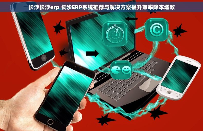 长沙长沙erp 长沙ERP系统推荐与解决方案提升效率降本增效