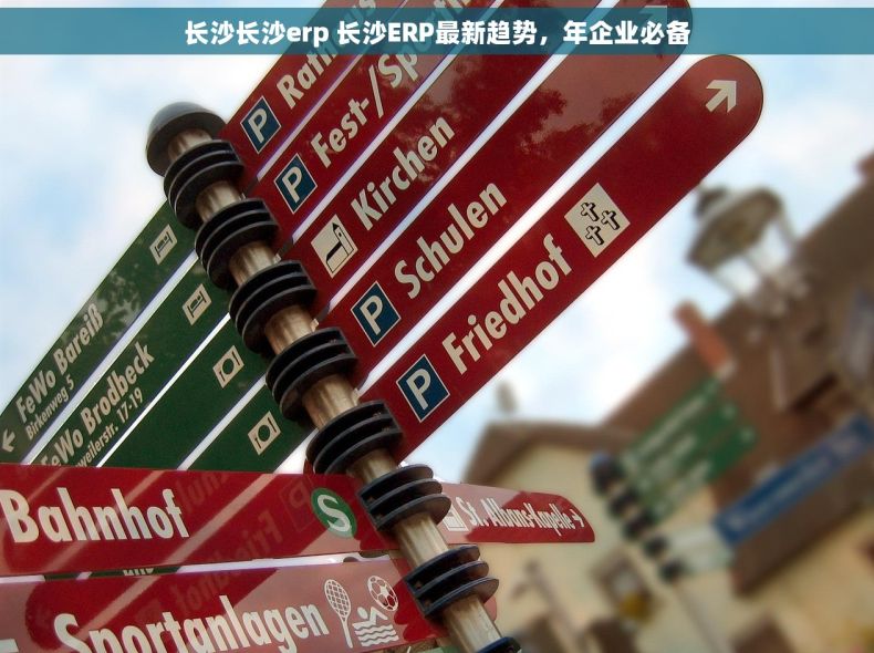 长沙长沙erp 长沙ERP最新趋势，年企业必备