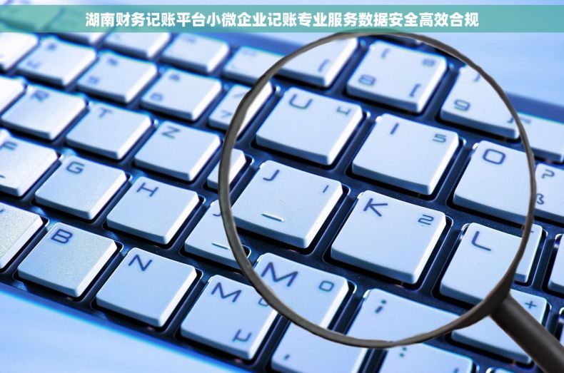 湖南财务记账平台小微企业记账专业服务数据安全高效合规