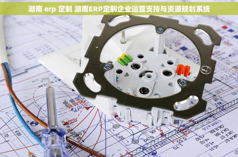 湖南 erp 定制 湖南ERP定制企业运营支持与资源规划系统