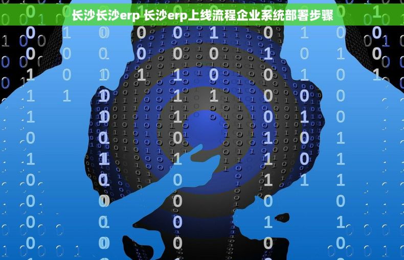 长沙长沙erp 长沙erp上线流程企业系统部署步骤