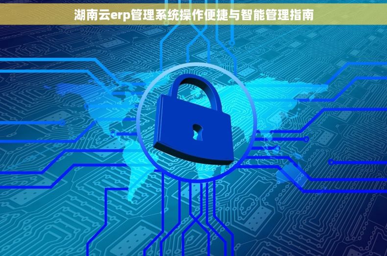 湖南云erp管理系统操作便捷与智能管理指南