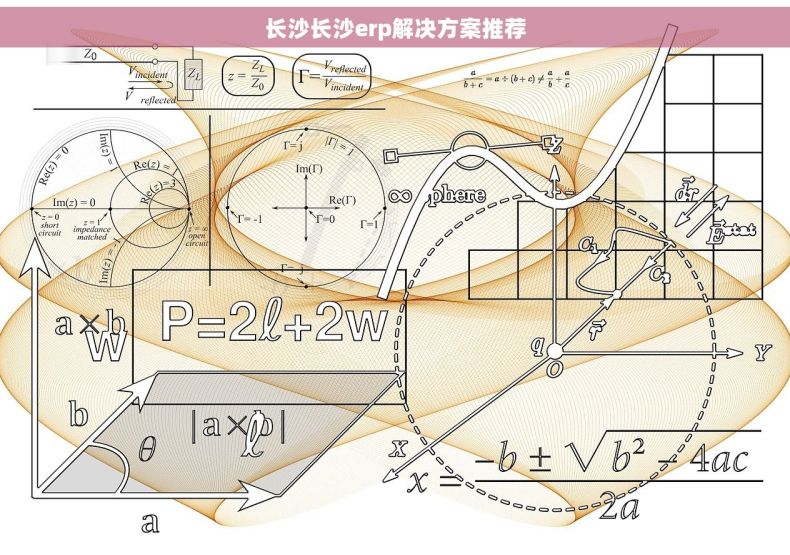 长沙长沙erp解决方案推荐