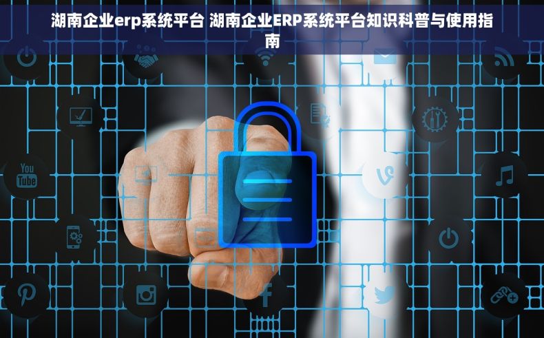 湖南企业erp系统平台 湖南企业ERP系统平台知识科普与使用指南