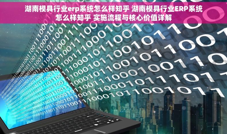 湖南模具行业erp系统怎么样知乎 湖南模具行业ERP系统怎么样知乎 实施流程与核心价值详解