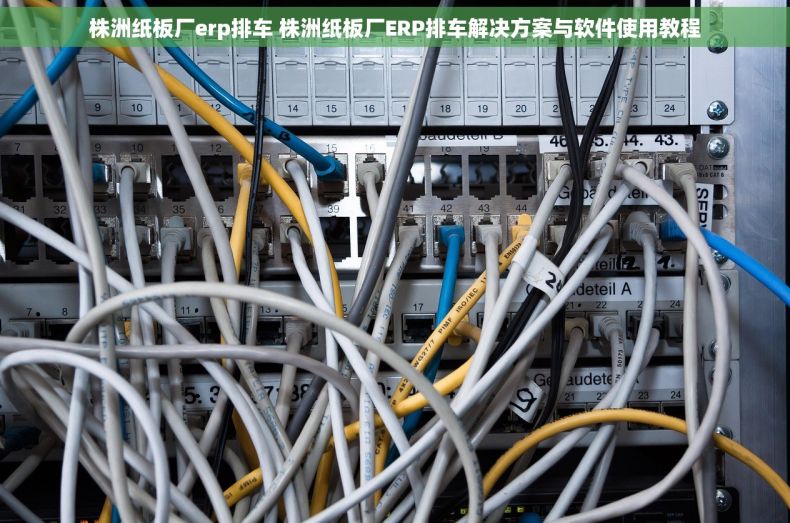 株洲纸板厂erp排车 株洲纸板厂ERP排车解决方案与软件使用教程