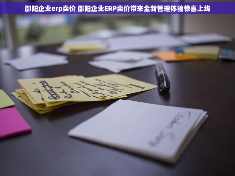邵阳企业erp卖价 邵阳企业ERP卖价带来全新管理体验惊喜上线