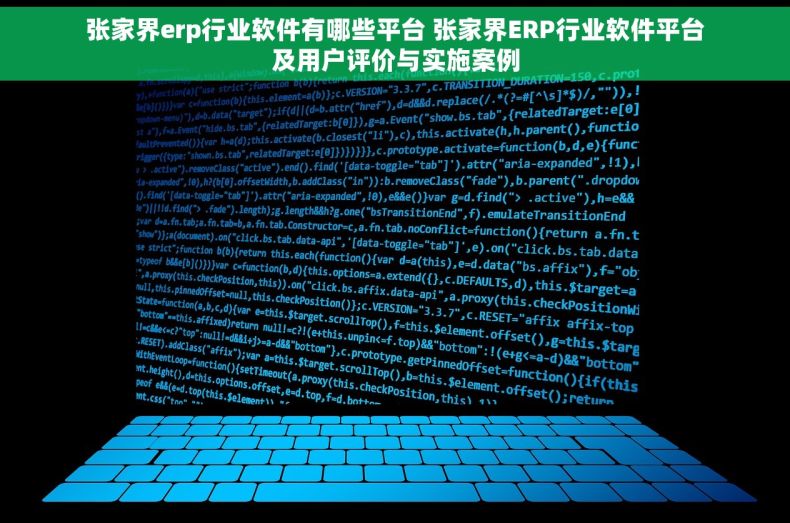 张家界erp行业软件有哪些平台 张家界ERP行业软件平台及用户评价与实施案例