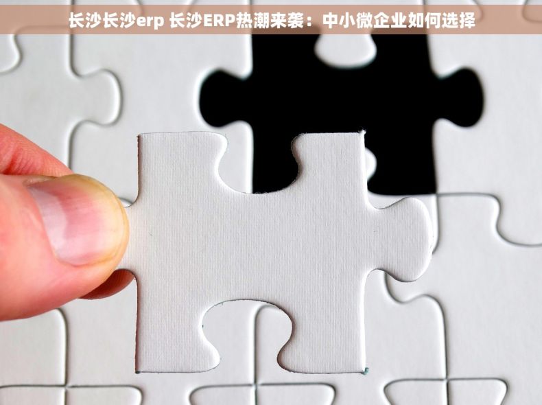 长沙长沙erp 长沙ERP热潮来袭：中小微企业如何选择