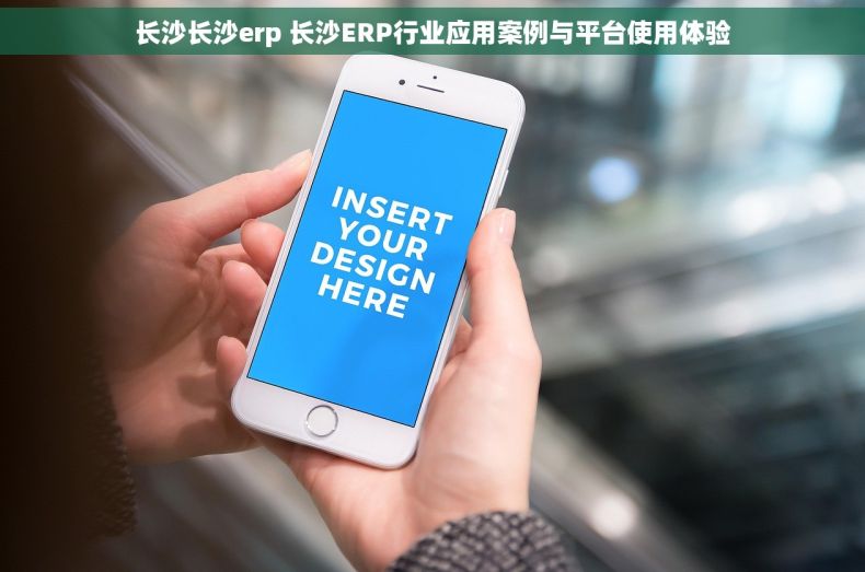 长沙长沙erp 长沙ERP行业应用案例与平台使用体验
