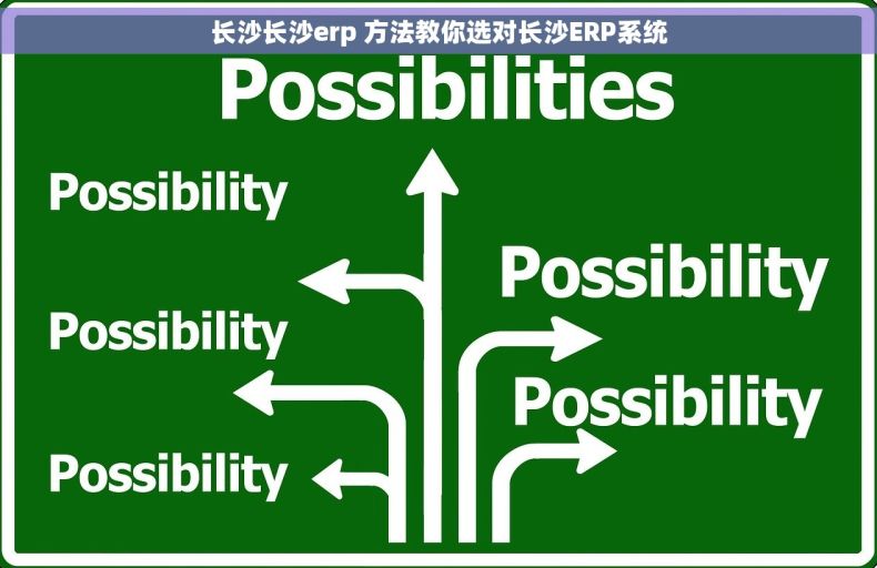 长沙长沙erp 方法教你选对长沙ERP系统