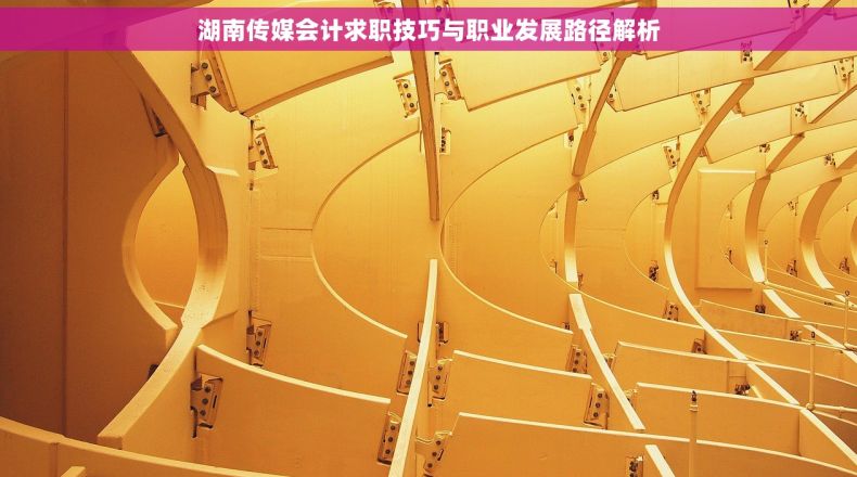 湖南传媒会计求职技巧与职业发展路径解析