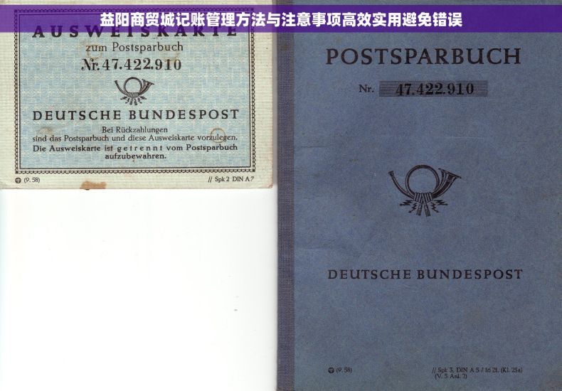 益阳商贸城记账管理方法与注意事项高效实用避免错误