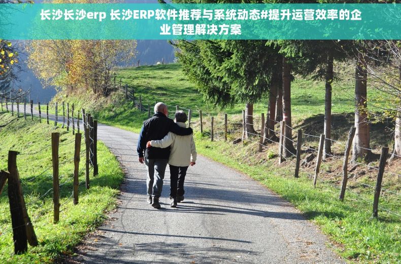 长沙长沙erp 长沙ERP软件推荐与系统动态#提升运营效率的企业管理解决方案