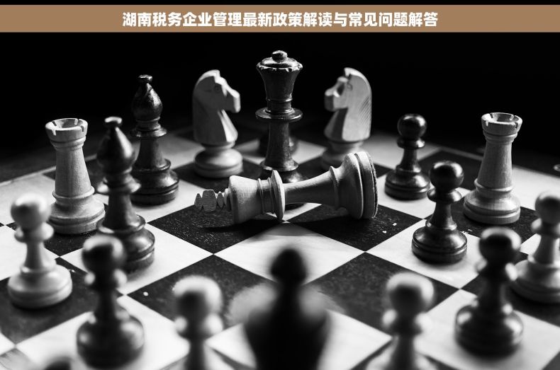 湖南税务企业管理最新政策解读与常见问题解答