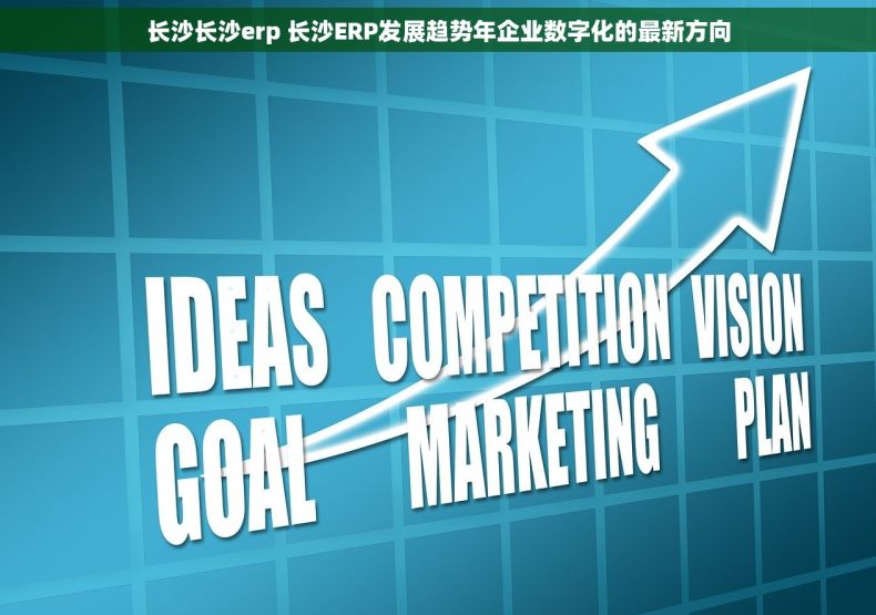 长沙长沙erp 长沙ERP发展趋势年企业数字化的最新方向