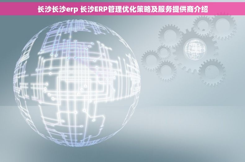长沙长沙erp 长沙ERP管理优化策略及服务提供商介绍