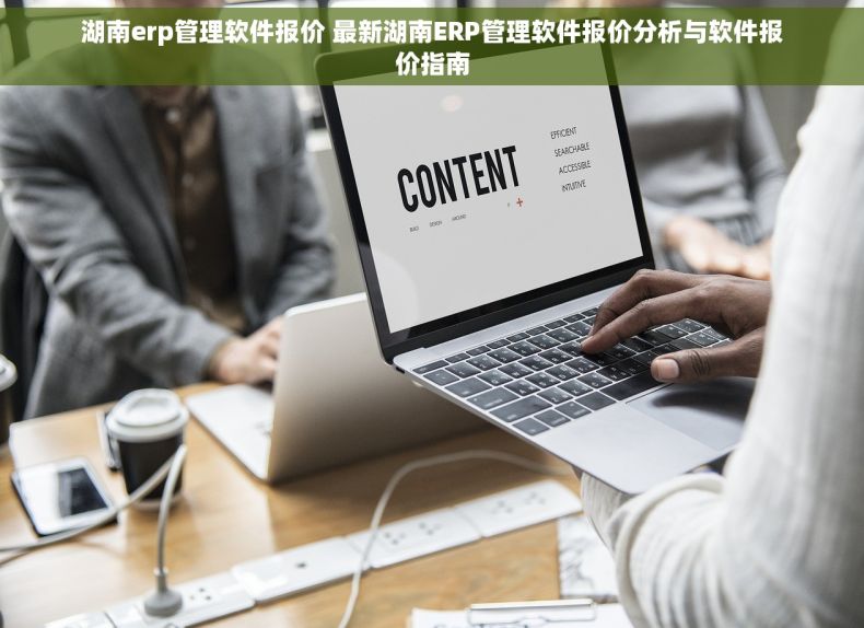 湖南erp管理软件报价 最新湖南ERP管理软件报价分析与软件报价指南