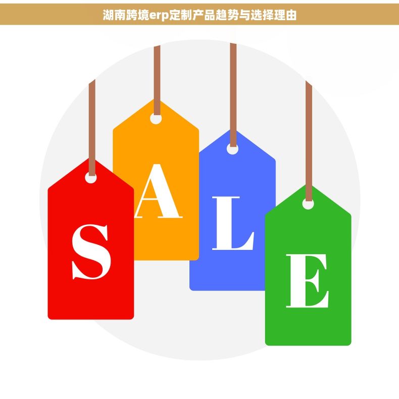 湖南跨境erp定制产品趋势与选择理由