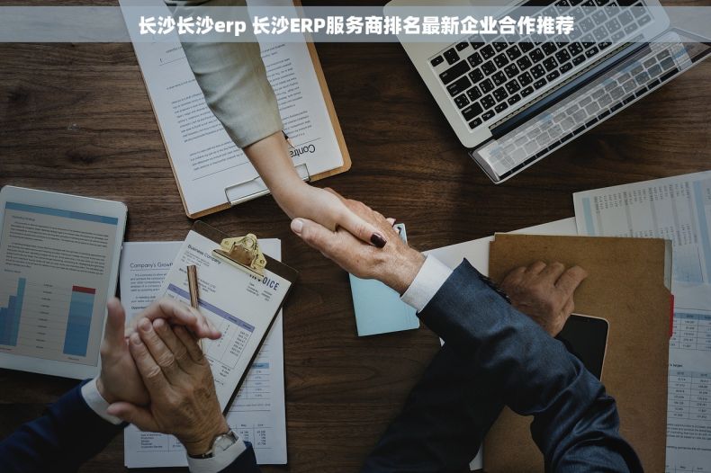 长沙长沙erp 长沙ERP服务商排名最新企业合作推荐