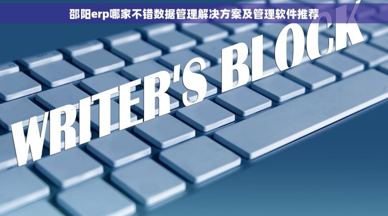 邵阳erp哪家不错数据管理解决方案及管理软件推荐
