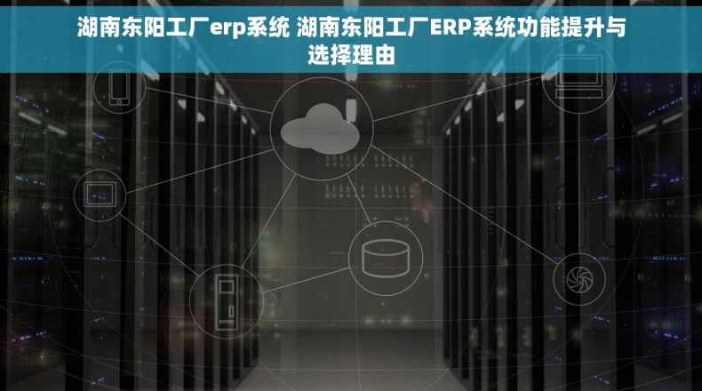 湖南东阳工厂erp系统 湖南东阳工厂ERP系统功能提升与选择理由