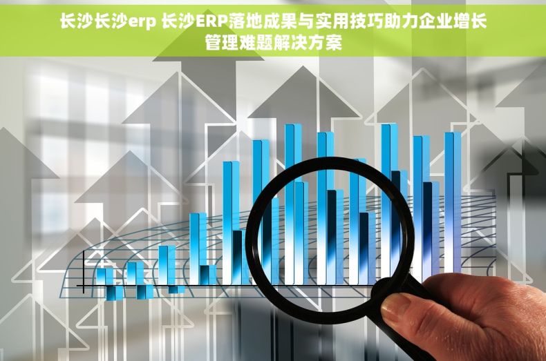 长沙长沙erp 长沙ERP落地成果与实用技巧助力企业增长管理难题解决方案