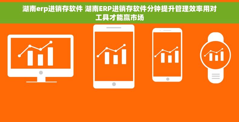 湖南erp进销存软件 湖南ERP进销存软件分钟提升管理效率用对工具才能赢市场