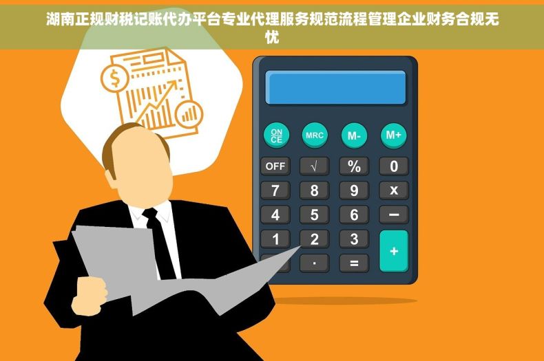 湖南正规财税记账代办平台专业代理服务规范流程管理企业财务合规无忧