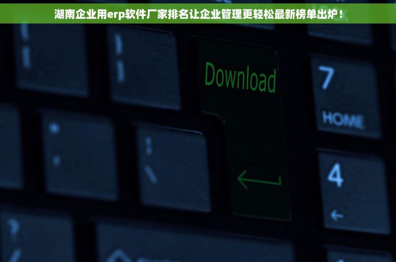 湖南企业用erp软件厂家排名让企业管理更轻松最新榜单出炉！